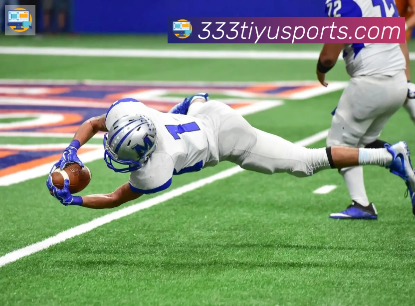 333体育平台生态图