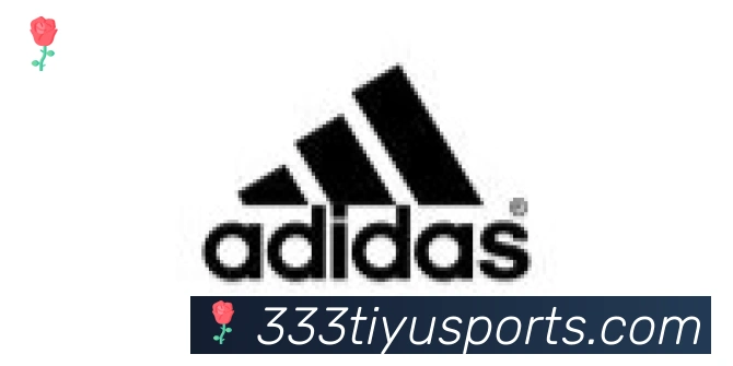 333体育合作伙伴